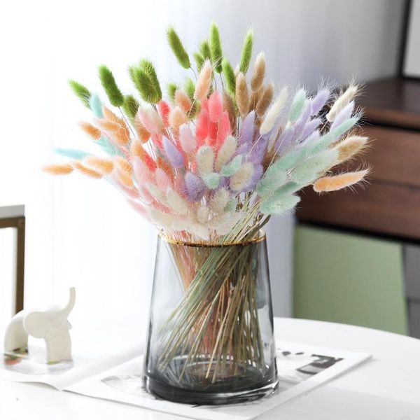 

decorative flowers & wreaths 30pcs lagurus ovatus dried grass pennisetum tail hay wheat natural plants pastoral home decor