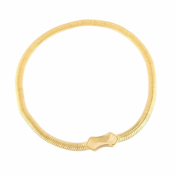 

2021 mens luxury designer necklace for girl personalized name necklaces stainless steel fashion charm jewelry magnet snake bone chain no all, Silver
