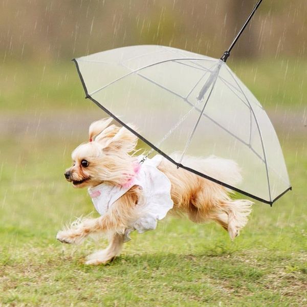 

dog apparel pet easy transparent folding puppy umbrella for small dogs puppies - provides protection from rain snow wet weather