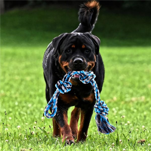 

cat toys pet spring pole stainless steel dog rope hanging exercise pull with 5m black ropes for