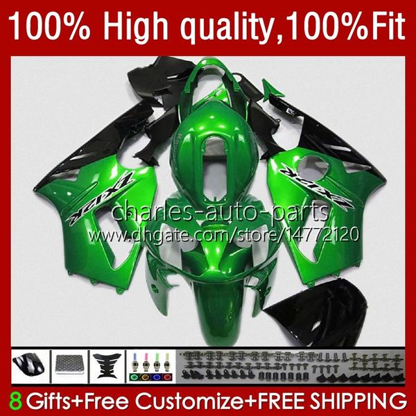 Karosserieeinspritzung für KAWASAKI NINJA ZX12R ZX1200C ZX 12R 1200 CC 2002–06 3No.187 ZX1200 ZX 12 R 1200CC 02 03 04 2005 2006 ZX-12R 2002 2003 2004 05 06 OEM Verkleidung Metall grün