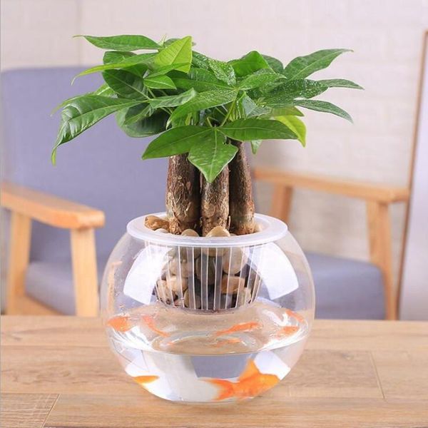 

novelty items 2pcs/pack diameter=15cm big size open glass terrarium vase home decoration aquarium fishbowl friend gift