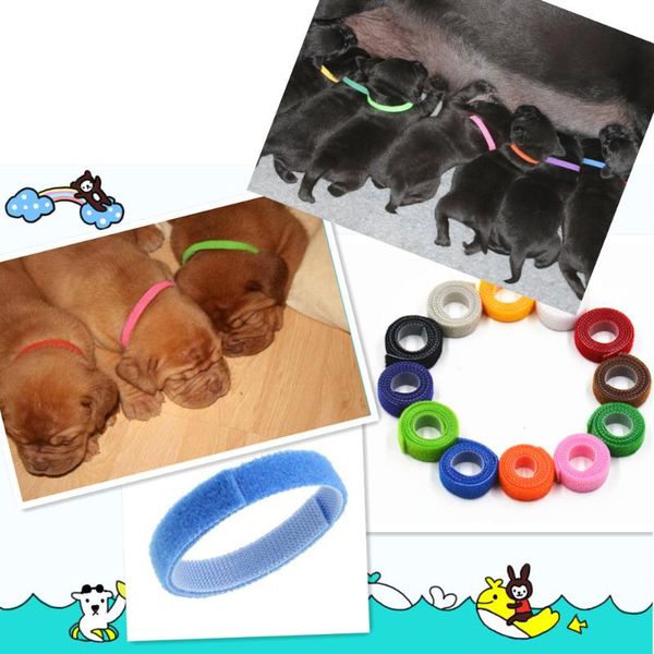 

cat collars & leads 12pcs dog collar personalized pet engraved id tag nameplate reflective for small medium large dogs pitbull pug #w