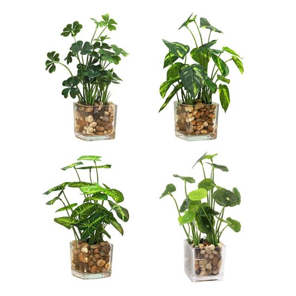 

decorative flowers & wreaths ins green simulation potted plant ornament natural artificial real touch grass home four leaf clover plastic 25