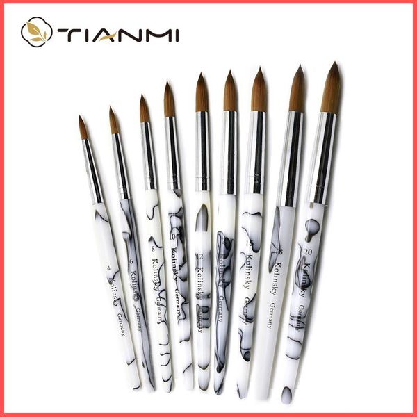 Pennelli per unghie TIANMI Gradient Color Kolinsky Acrylic Art Tool Set di pennelli per smalto Penna per pittura per principianti