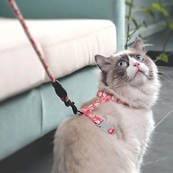 

cat collars & leads s/m 5colors print collar harness leash traction rope dog safe leader chest strap nylon pet