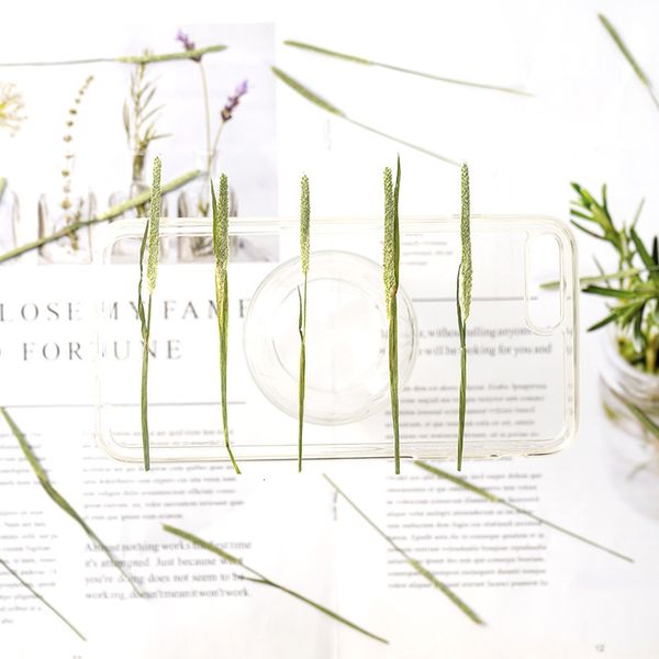 

grass spike stick flower embossing dried plant teaching specimen diy manual bookmark glue dropping mobile festival gift design