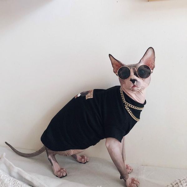 

cat costumes devon sphinx clothes hairless for pet 100% cotton with necklace