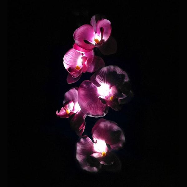 

holiday flower solar light string 80cm 5led,butterfly orchid flower light garland ,waterproof room decor cd