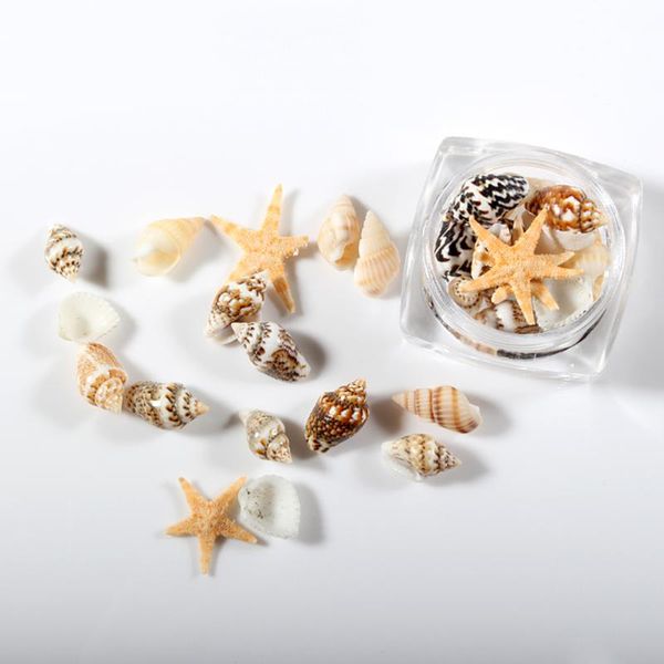 

nail art decorations 1 box ocean style natural diy mini conch shells sea beach ornaments 3d gems accessories manicure, Silver;gold