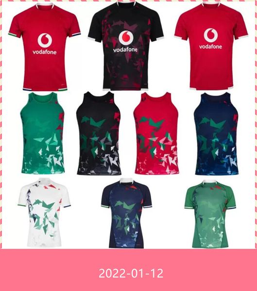 

2021 british & irish lions rugby jersey 21 22 home singlet training test warm up shirt size s-5xl, Black;gray