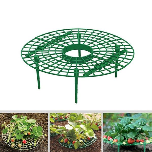 

planters & pots strawberry plant growing supports keep strawberries in the rainy days plastic circle support rack removable #751