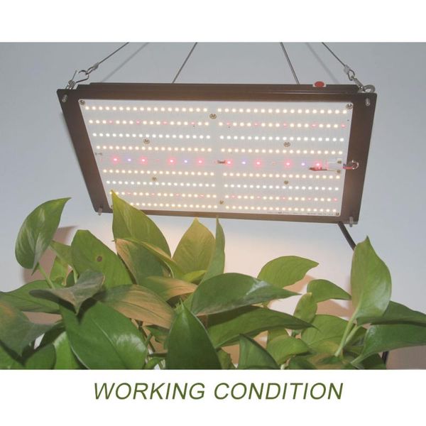 

meanwell driver240w samsung board lm301h lm301b full spectrum indoor dimmable led grow lights/lamps for veg and bloom