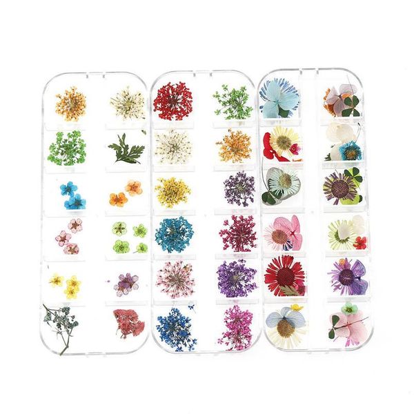 

1 box real dried daisy hydrangea flower dry plants for epoxy resin pendant necklace jewelry making craft diy acc jllhvr