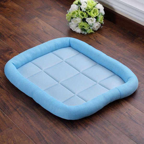 

cool feeling of pet nt in summer