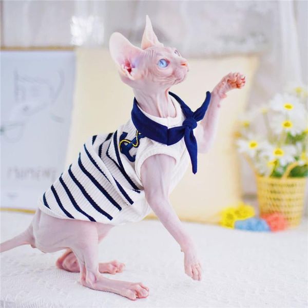 

cat costumes navy style sphynx clothes sailor fashion kitty wearing comfort spring summer sphinx hairless clothing