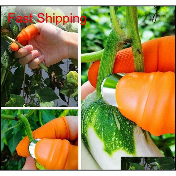 

sile thumb knife plant fruit vegetable separator picker with flat / curved blade for vegetable gar jlllcq powerstore2012