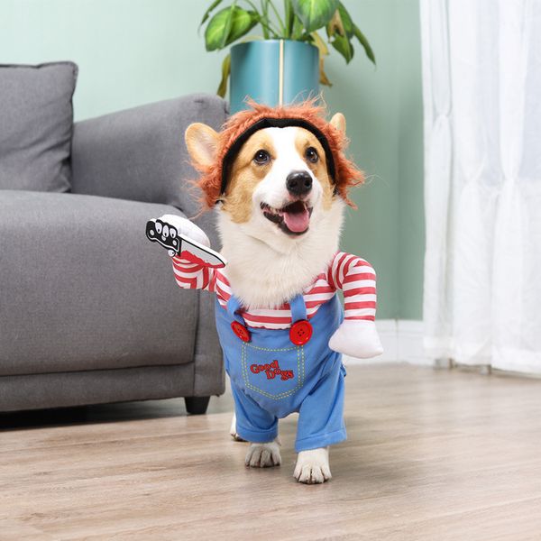 

tiktok dog, funny cloth, body tactic, small size, big dog.