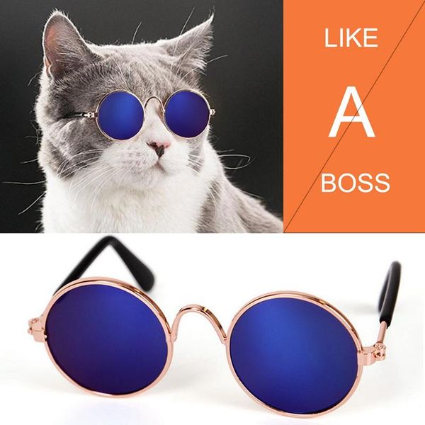 

dog apparel fashion pet cat sunglasses glasses eyewear cool eye-protection anti-wear wear grooming pos props accessories blue