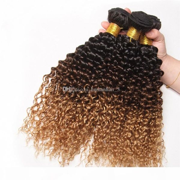 

3 bundles ombre kinky curly 1b 4 27 color human hair extensions afro kinky curly brazilian virgin human hair bundles, Black;brown