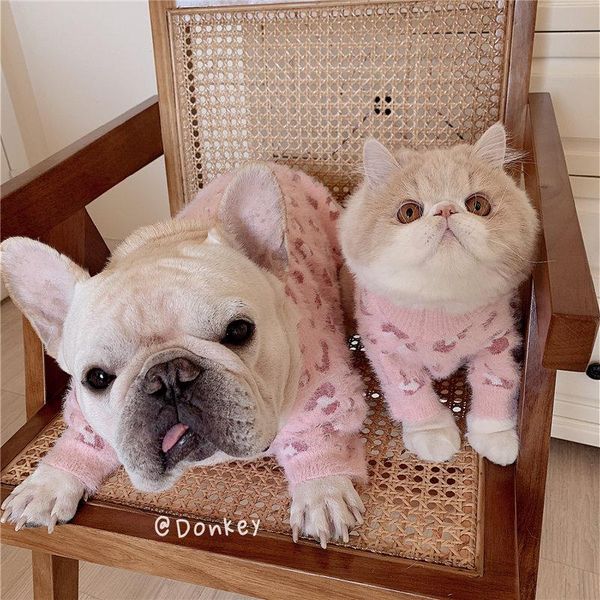 

pet clothes designer dog clothes