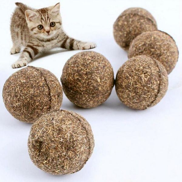 

cat toys 1pc natural catnip treat ball mint chasing for cats kitten healthy safe edible treating pet products