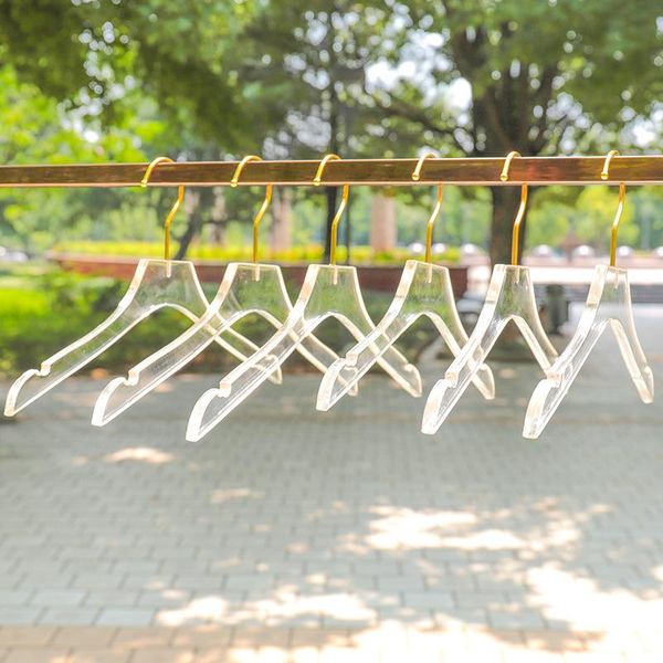

hangers & racks 5 pcs clear acrylic clothes hanger with gold hook, transparent shirts dress notches for lady kids