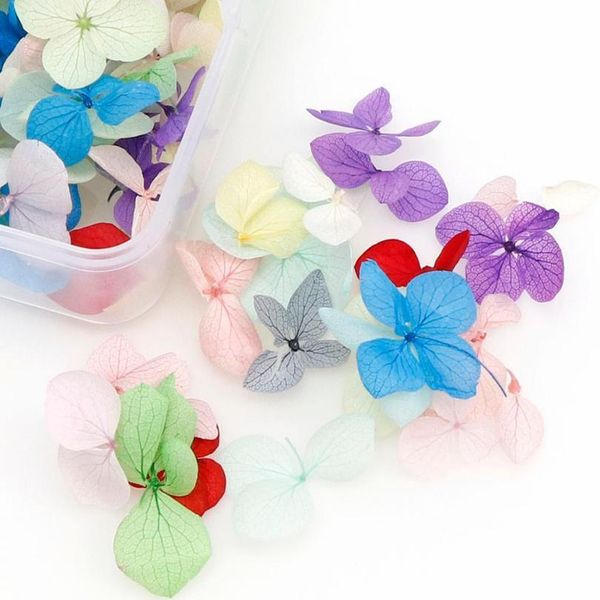 

10/50/100 pcs dried flowers filling scrapbooking materials jewelry making pendants earrings crafts accessories 10/50 jllslt