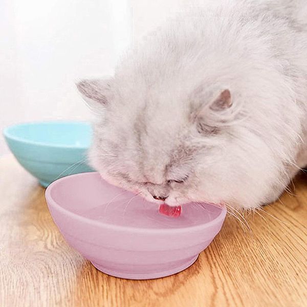 

multi-purpose candy-colored plastic pet feeding bowl puppy feeding bowl cat dog feeder pet supplies