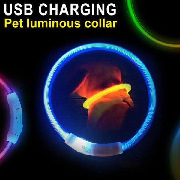 

dog collars & leashes usb rechargeable led pet collar flashing adjustable safety light neck chain mu8669