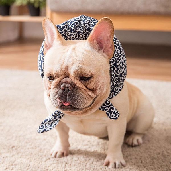 

cat costumes pets runaway shiba inu teddy cats cute sell bags funny dog pillows decorative styling supplies
