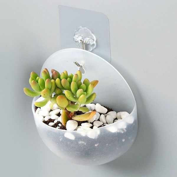

planters & pots decorative plastic hanging pot transparent wall mounted flowers planter garden indoor decor for succulent plants