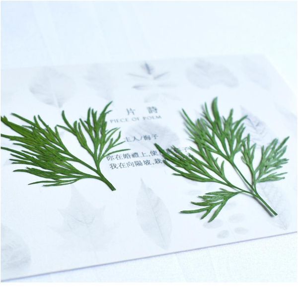 

manufacturing technology of epoxy resin ornaments for dried plant specimens of broad leaved natural true dry leaves diy qyludd