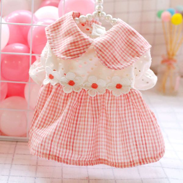 

dog than bear poodle skirt kawaii teddy cat puppy spring summer drs