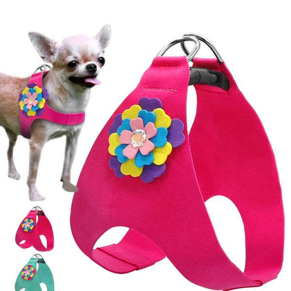 

soft suede leather dog harness cute floral vest for small medium puppy cat chihuahua poodle yorkie shihtzu blue pin qyljqw