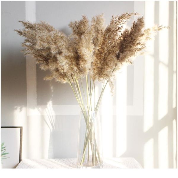 

natural dried pampas grass phragmites communis for wedding dried flower bouquet home decor diy craft dry flowers de qyltsi