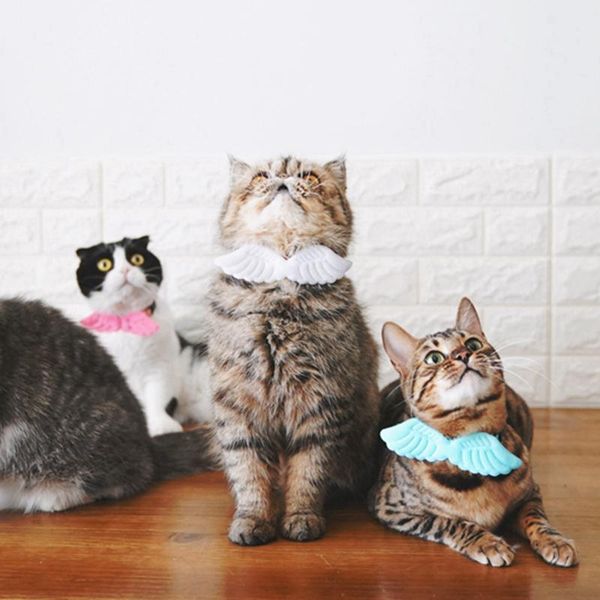 

cat collars & leads [mpk store] angel wings pet collars, collar, 4 colors available now