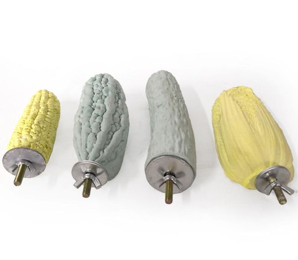 

small animal supplies vegetable shape calcium hamster pet molar stone springboard chinchilla guinea pig milk