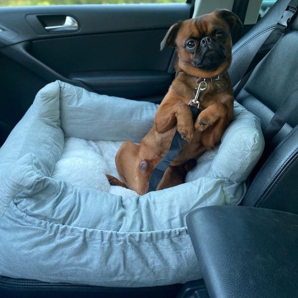 

dog car seat covers bed sofa travel seats cover for small medium dogs front/back pet carrier transportin perro