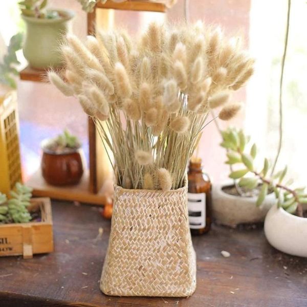 

decorative flowers & wreaths 30 stems tail grass dried flower natural plants accessories floral props home pography decoration
