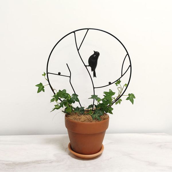 

plant support frame useful durable garden trellis suitable for growing climbing fruits efficiently maintain the growth of plant