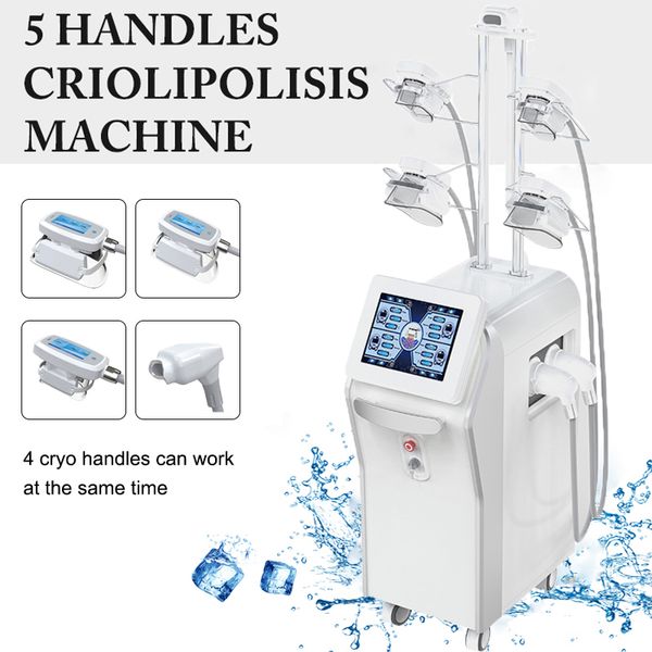 

cryotherapy physio cellulite removal machines cryolipolysis weight loss machine cryo er fat reduction equipment 5 handles