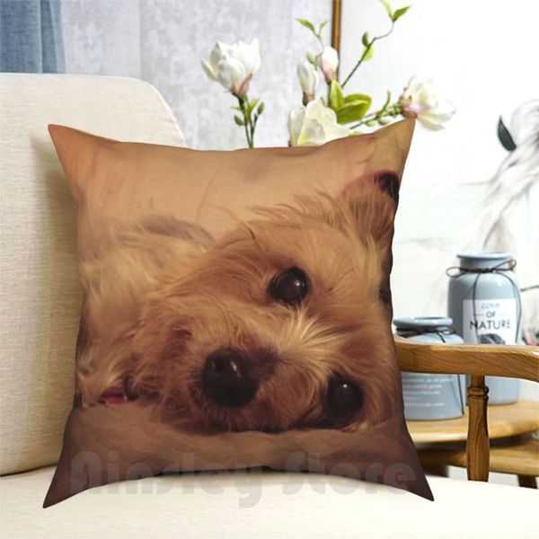 

pillow case teacup yorkie printed home soft throw yorkshire terrier dog puppy animals pets