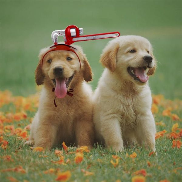 

dog apparel 1 pc halloween dress up hat tricky props cap pipe wrench for cat