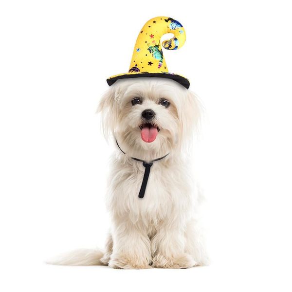 

dog apparel pet halloween cap with cosplay costume puppy decor hats for small cat