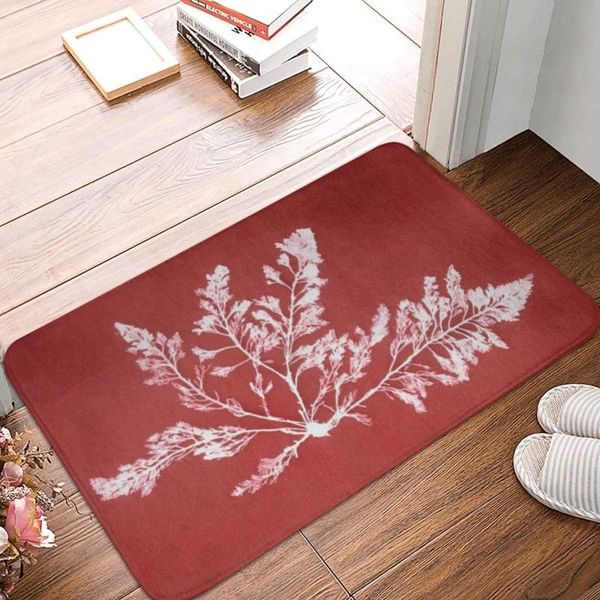 

carpets osmundea pinnatifida (seaweed) doormat rug carpet mat footpad bath anti-slip toilet balcony parlor absorbent dust removal