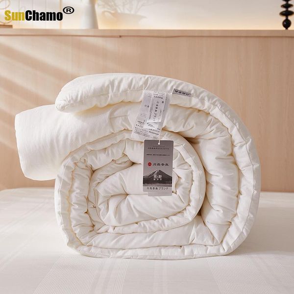 

comforters & sets plain cotton winter quilt, spring and autumn summer quilt