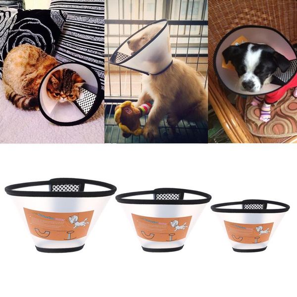 

dog collars & leashes pet cat elizabethan wound healing remedy recovery protective collar goods cone e- for dogs cats
