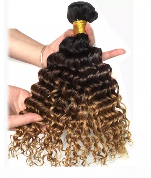 

silk virgin brazilian hair virgin peruvian hair 1b 2 4 350 99j 6 530 27 30 33 ombre color brazilian deep wave hair, Black