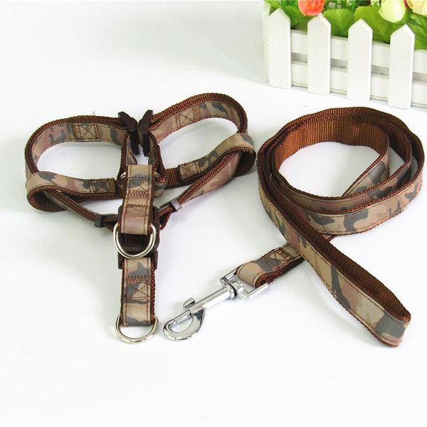 

dog leash cat dog pet leash elastic nylon walk lead rope training leashes